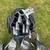 King Cobra golf clubs 3 thumbnail