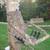 API Outdoors Climbing Tree Stand Aluminum - Nice 6 thumbnail