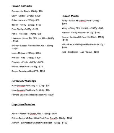 Rehoming Ball Python Collection - Please Don't Flag (Centennial) (Centennial)63921241894146120
