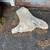 Concrete chunks (4 total) 4 thumbnail