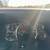 2012 Chevrolet Express Passenger AWD 1500 135 LT 12 thumbnail