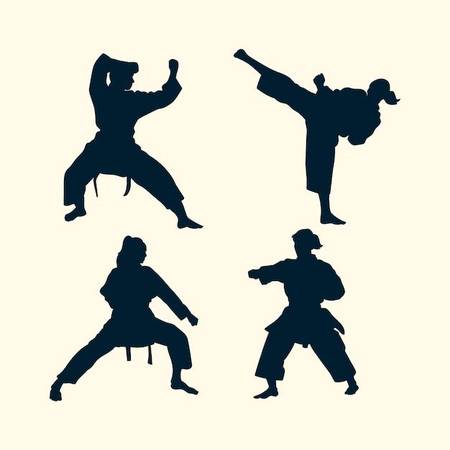FREE Taekwondo Class 1