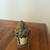 Angique snuff bottles 2 thumbnail