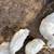 Ducks 3 thumbnail