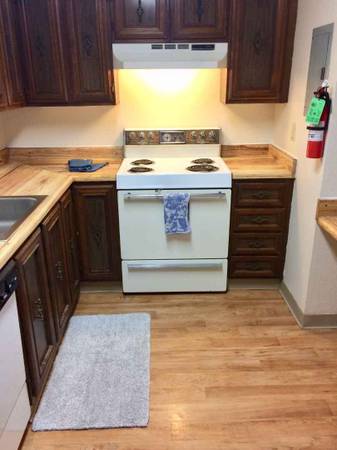$1,315 / 1br - 470ft2 - Enjoy the best in off campus living at a great price! 1 bed / 1 bath (Anchorage)64004786049665123
