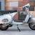 Vintage Vespa & Lambretta Technician – Bello Moto (San Francisco) 8 thumbnail