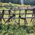 Show Draft Horse Harness 5 thumbnail