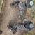 2009-2014 VW Jetta TDI  Right Front Suspension Knee Knuckle Strut 5 thumbnail