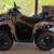 2022 Can Am 450 Outlander Hunter Pro 1 thumbnail