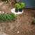Plumbing Sewer lines, Drainage, sumps, main water lines. 1 thumbnail