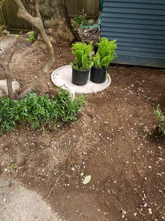 Plumbing Sewer lines, Drainage, sumps, main water lines. 1