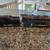 Lionel Locomotives and One Coal Car 1945-1947? 1 thumbnail