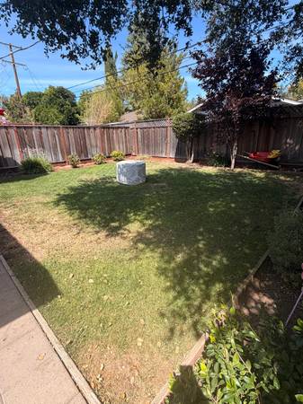 Lawn Replacement 1