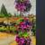 OBELISKS Trellis 4 thumbnail