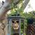 Halloween Decorating w/my Decorations 8 thumbnail