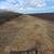 🌿 Forestry mulching/Land clearing – RGV 🌿 (956)715-7991 10 thumbnail