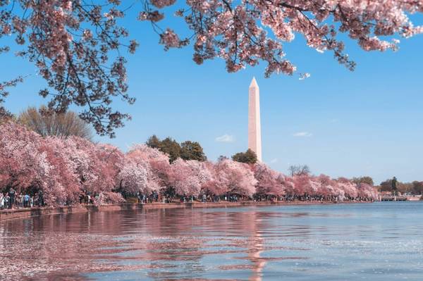 $1199.00 / 1br - 1400ft2 - Mountain view 1 bedroom Shared House near DC63779216063491124