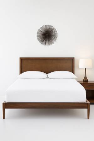 NEW Queen Brown Modern Panel Bed (Delivery Available) 1