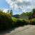 Charming 2-Bed  East Asheville Gem! Move-in June 1st! 11 thumbnail