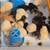 Chicks 1 thumbnail