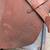 18" Stubben Siegfried Jumping Saddle 4 thumbnail