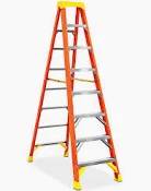 8FT Werner Ladder 1
