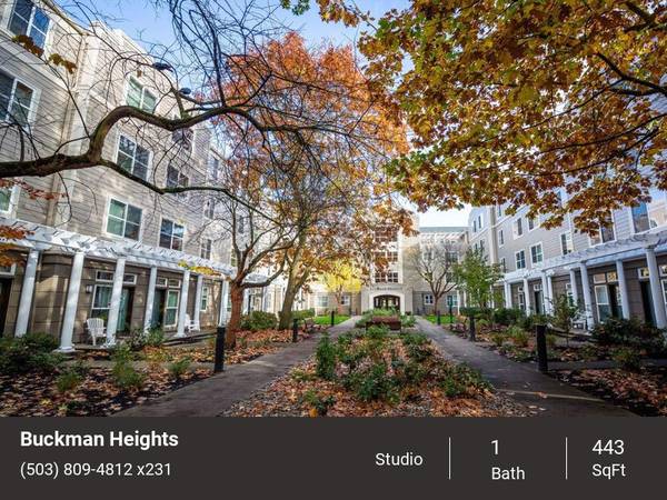 Inviting Studio-Steps to TriMet, Covered Parking & More! 1