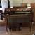 Working organ 1 thumbnail