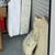 Storage Auctions in Marion 5 thumbnail