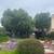 SP TREE SERVICE 10 thumbnail