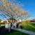 3 Beds 2 Baths Townhouse 23 thumbnail