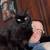 Nicole's Pawsome PetCare 3 thumbnail