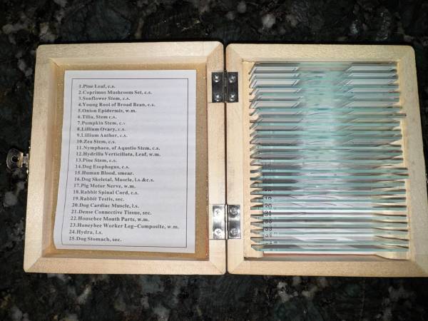 Prepared Microscope Slides - 25 quantity, includes fitted wooden case 1