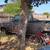 Ford f250 1 thumbnail