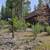 🌄Mountain Cabin on Approx. 1.51 Acres-Arnold Meadows Area🌄 2 thumbnail