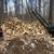 Firewood processing 8 thumbnail