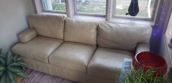 Leather couch