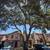 Tree service 6 thumbnail