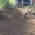 🌻LANDSCAPING-HAULING🐦🌷YARD PROBLEMS? 2026 17 thumbnail