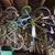 Need a bike? I've got 50! 3 thumbnail