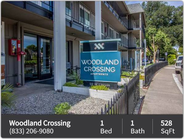 Plenty of space and amazing views from this 528 sq ft 1 bed/1 bath! 1