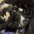 Kittens 2 thumbnail