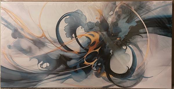 Laoto Art Abstract Canvas Wall Art 24x48, still in plastic, box to transport 1