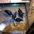 chicks  ayam cemani 9 thumbnail