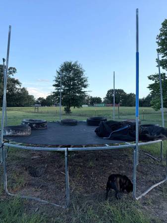 Trampoline 1