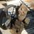 antique air compressor 2 thumbnail