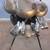 Golf Clubs- Knight Allante' Complete Graphite Set With Stand Bag 6 thumbnail