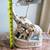 Antique Porcelain Elephants Lamp 4 thumbnail