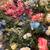 Silk Flowers/Eucalyptus leaves/Bouquets 2 thumbnail