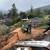 TREE &STUMP GRINDING &STUMP REMOVAL SERVICE 18 thumbnail